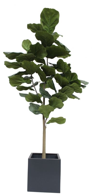 Taiga Lyrata Tree (Lyrata Tree) Artificial plant Tanaman   